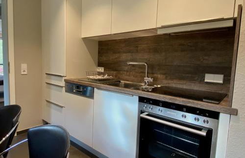 Terrassenwohnung Garten-Oase - Hochwertige Gartenwohnung mit Sonnenterrasse - Foto 13