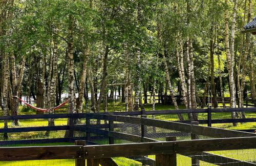 Kaszuby Camp - Foto 41