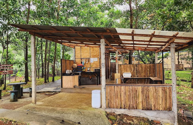 Isla Del Antoño - Foto 24