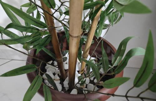 Refúgio Santista - Seu lar com vaga no litoral - Foto 29