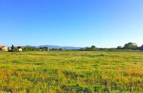 Le Jardin des Copains - Photo 6