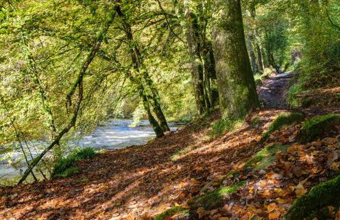 Pilgrim Corner - Photo 44