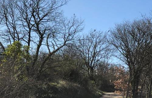 Villa MaLou - Foto 43