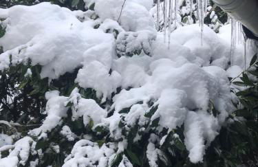 Schönwald Waldchalet am Musenberg - Foto 10