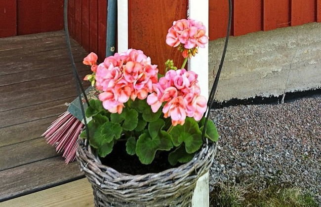 4 Person Holiday Home in Henan - Foto 10