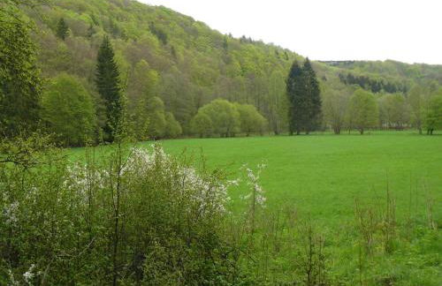 Hill-view Holiday Home in Dankerode near Lake and Hiking - Foto 11