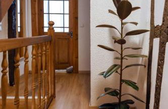 Fachwerkhäuschen - Foto 25