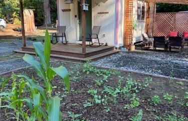 Enchanted Hollow- Cozy, Romantic Woodland Getaway - Photo 59