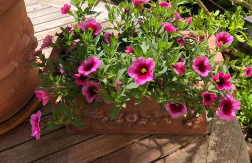 Gäste-Apartment Verweilzeit - Foto 22