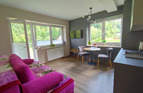 Czarodziejska Góra Kozubnik Daglezja - Foto 3