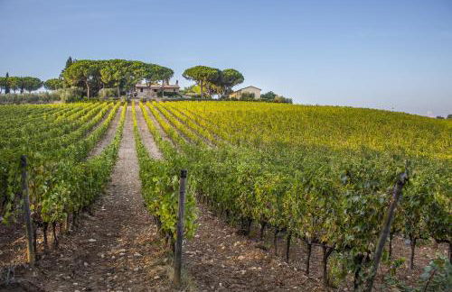 Fattoria di Magliano Winery - Foto 45