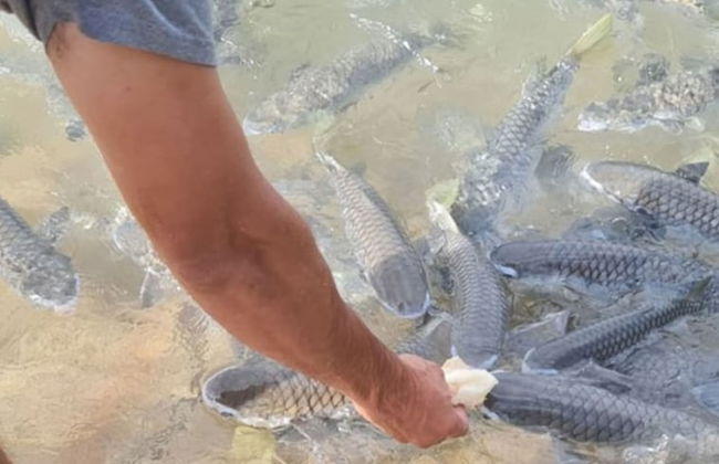 Zen Gem Pool Private Balcony Oceanview - Foto 19