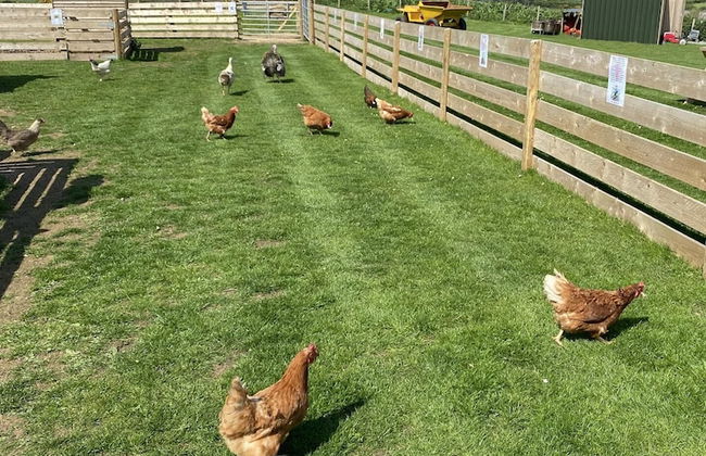 Swift Vogue Edition Caravan - Photo 41