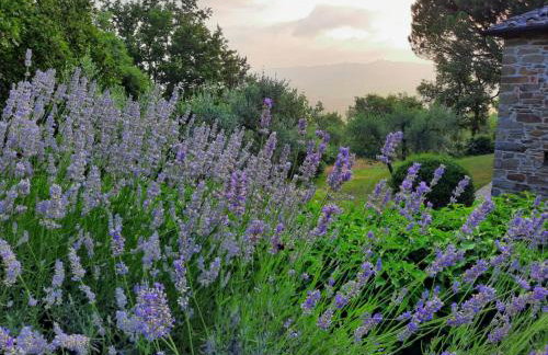 Gli sterpi - Foto 27