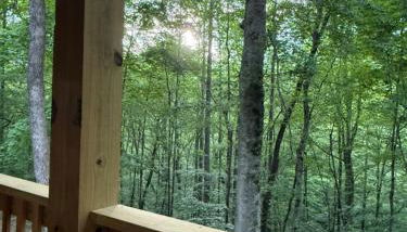 Turkey Creek Cabin Rentals #2 at Tims Ford lake - Foto 2