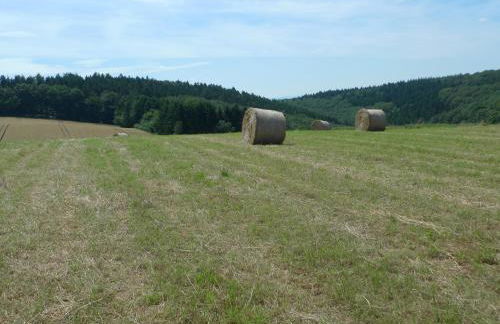 Das Alte Forsthaus - Foto 24