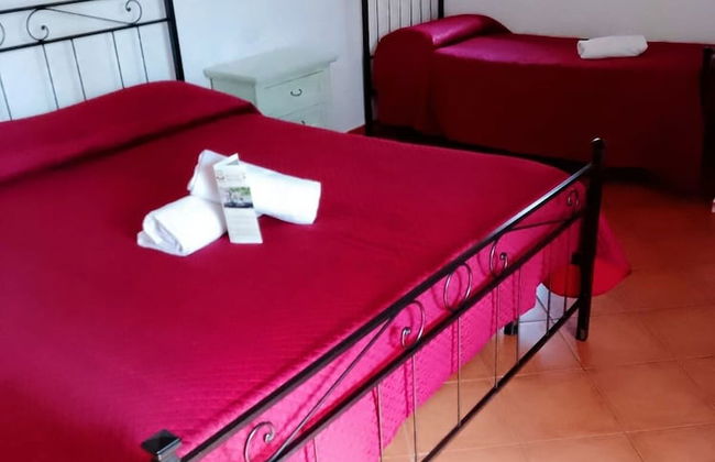 Agriturismo Galea - Foto 6