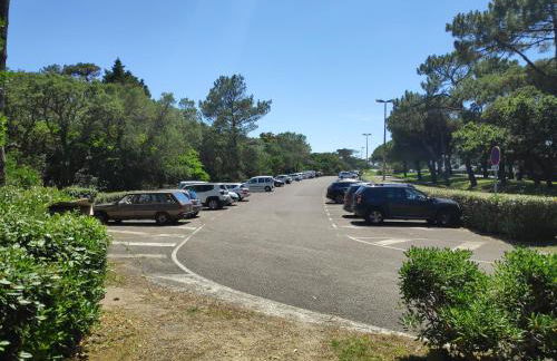 Appt Seignosse le Penon - plages commerces à pied - Foto 24