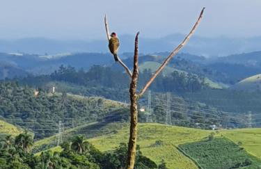Sitio Aconchego Verde Guararema - Foto 46