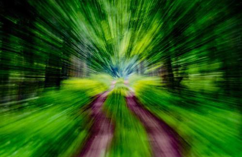 Groszkówka - Foto 14