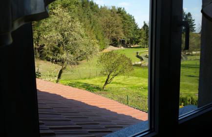 Wald&Wiesengeflüster Zechlinerhütte - Foto 50