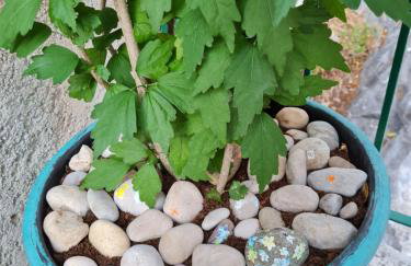 Apartments Hana - Foto 29