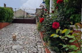 Agrampeli Villa - Photo 24