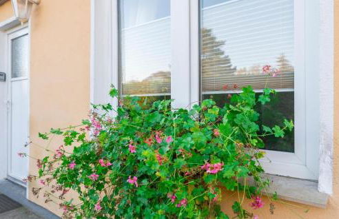 Ostseegruss - Foto 11