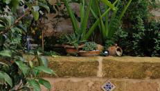 Xenia Boutique Apartment - Foto 4, Garden