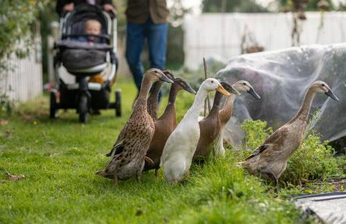 Woolley Grange Hotel - Foto 29