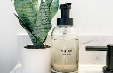 Sparkling Saratoga 3BR home near Track and SPAC Dogs - Foto 34