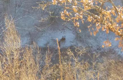 Apartment King - Foto 39