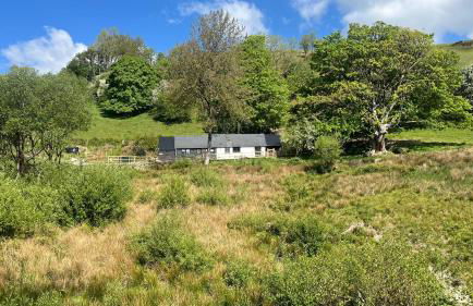 Peaceful Dyfi Valley Cottage - Hendre-gau - Photo 45