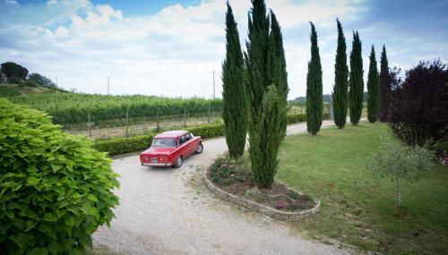 Il Gufo del Chianti - Foto 3, Garden view