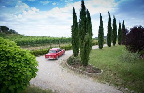 Il Gufo del Chianti - Foto 3