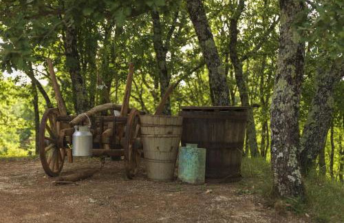 Luxury Villa Četiri Hrasta - Foto 32