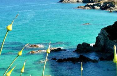 Gwynn Lodge - Foto 23