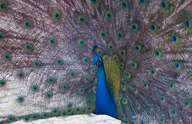 Agriturismo Arte Contadina - Photo 23