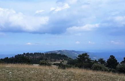 nid2nuit Nuance d'Ocres - Photo 21