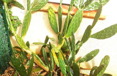 Escale marine - Foto 12