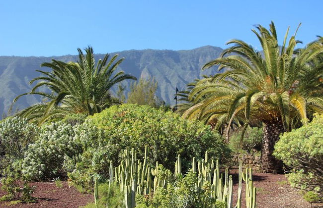 "Pyramiden von Güímar Eintritt PREMIUM Ticket" - Foto 20