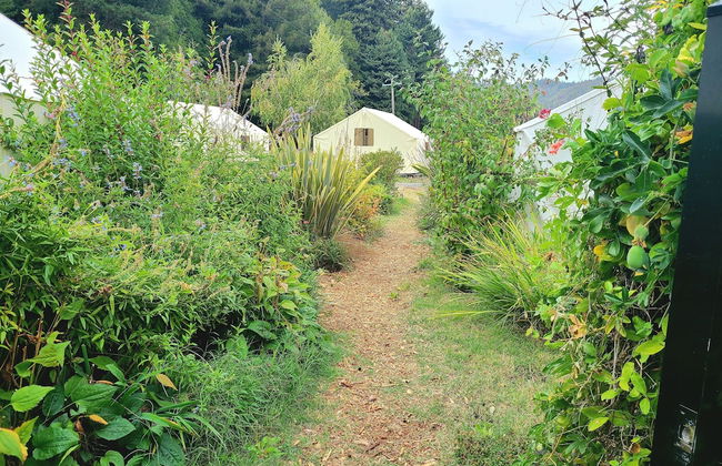 Surrey Resort - Foto 22