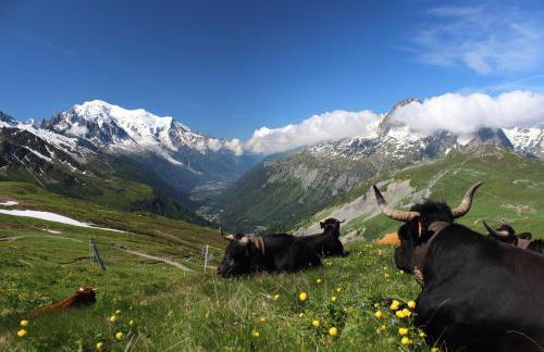 Chez Charles | Vallorcine Viachamonix - Foto 72