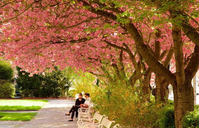 Peaceful Villa in the Hills of Jachymov Near Spas - Photo 37