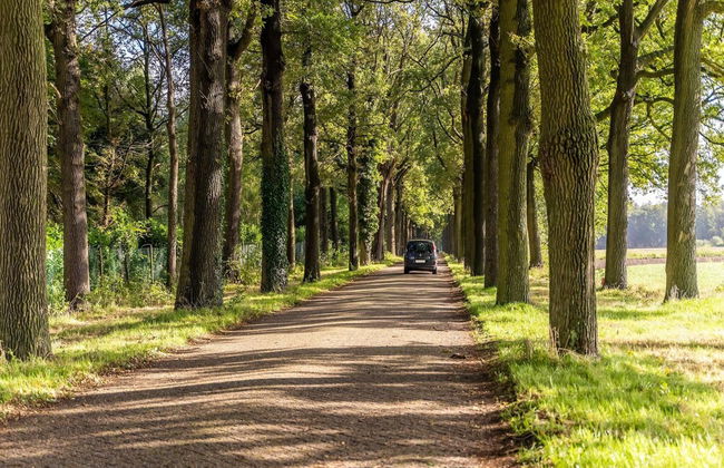 Apartment in Wortel Hoogstraten - Foto 39