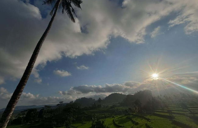 Villa Di Bias - Foto 78