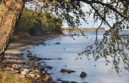 Katharinenhof "Sunny" - Foto 26