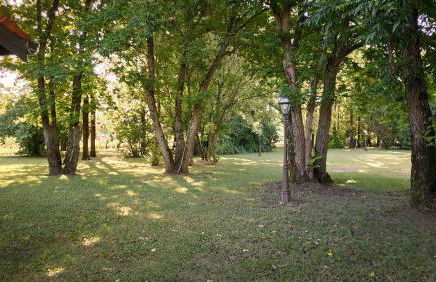 La casetta nel bosco - Photo 7