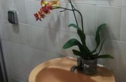 Casa grande com piscina e churrasqueira - Photo 24