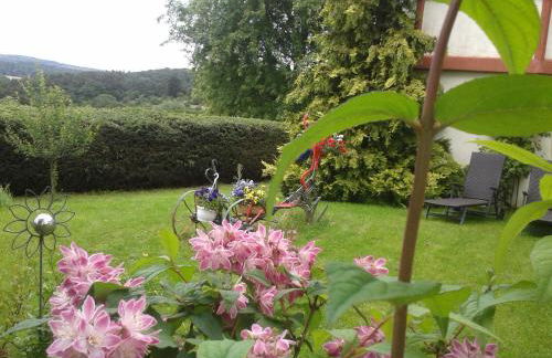 FeWo Sonnenblume mit sauna - Photo 22